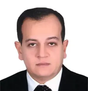 Waleed Ali Sewilam